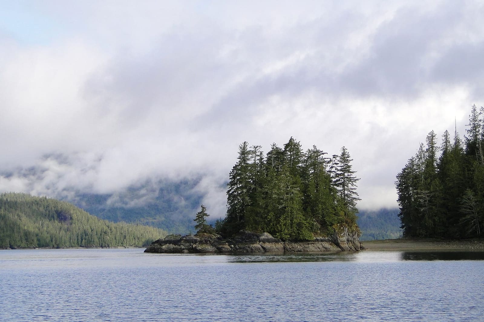 Clayoquot Sound off Tofino, where private boats run four- to five-hour wildlife days