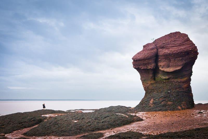 Baie de Fundy