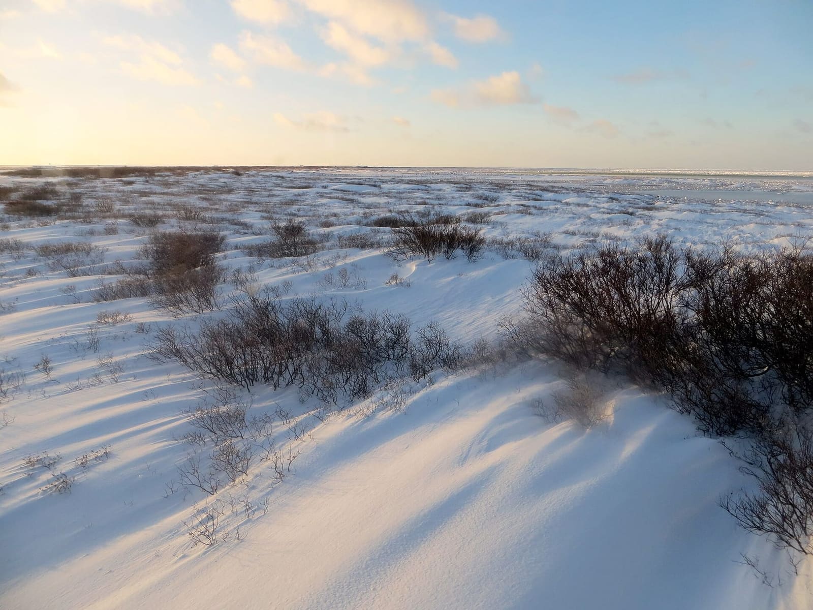 The Churchill River estuary opens into Hudson Bay; Sea North's boats work both sides of that line.