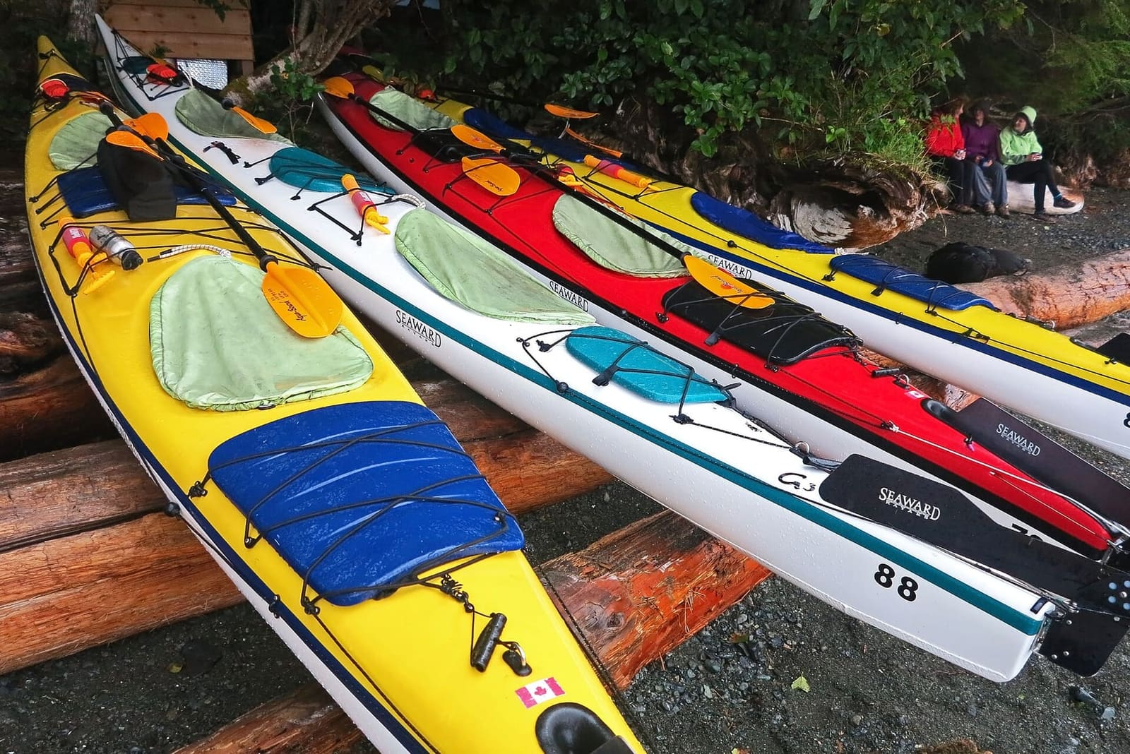 Paddling Johnstone Strait — the 200 m rule applies to kayaks exactly as it does to boats