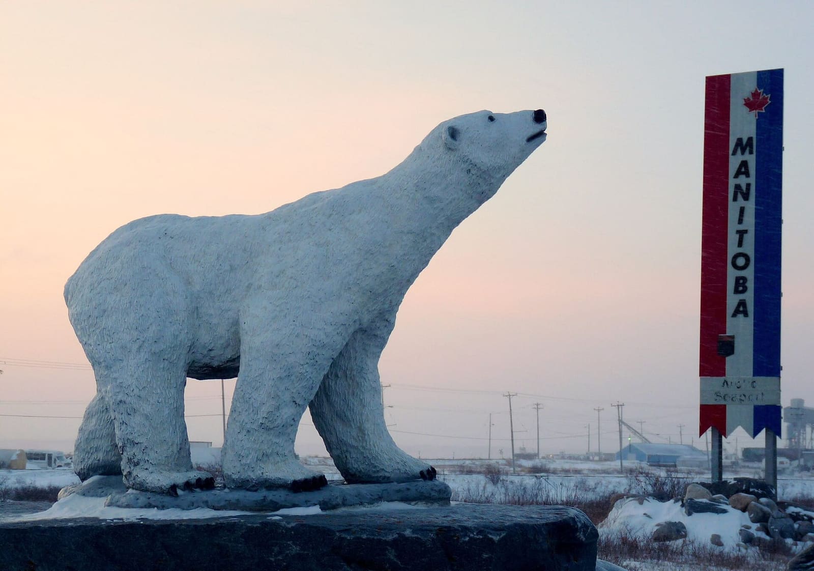 Polar bears come ashore as the sea ice goes; the summer packages are built around both animals.