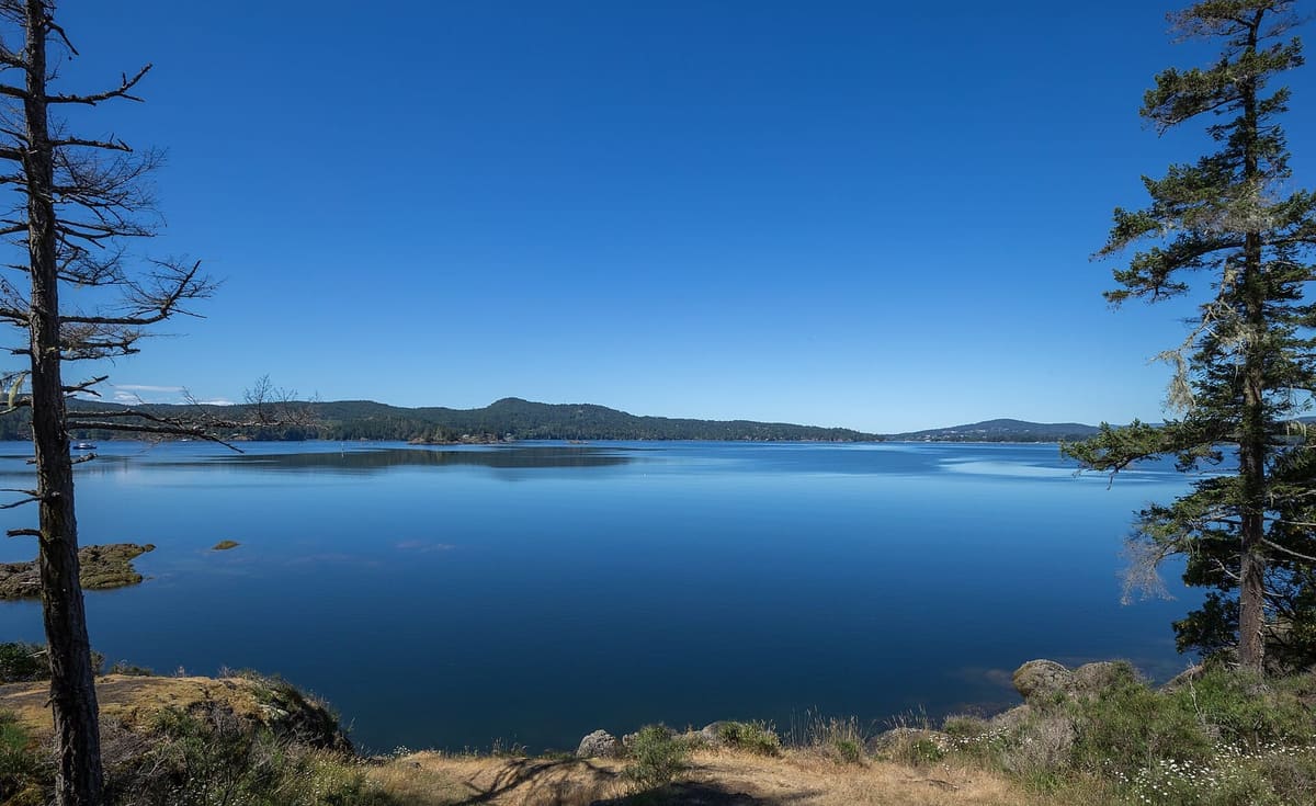 Sooke Harbour on the south-west coast of Vancouver Island, with forested hills behind