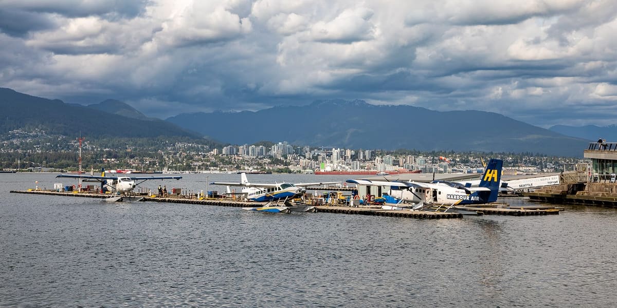 Whale-watching boats tied up at a harbour dock on the Pacific coast