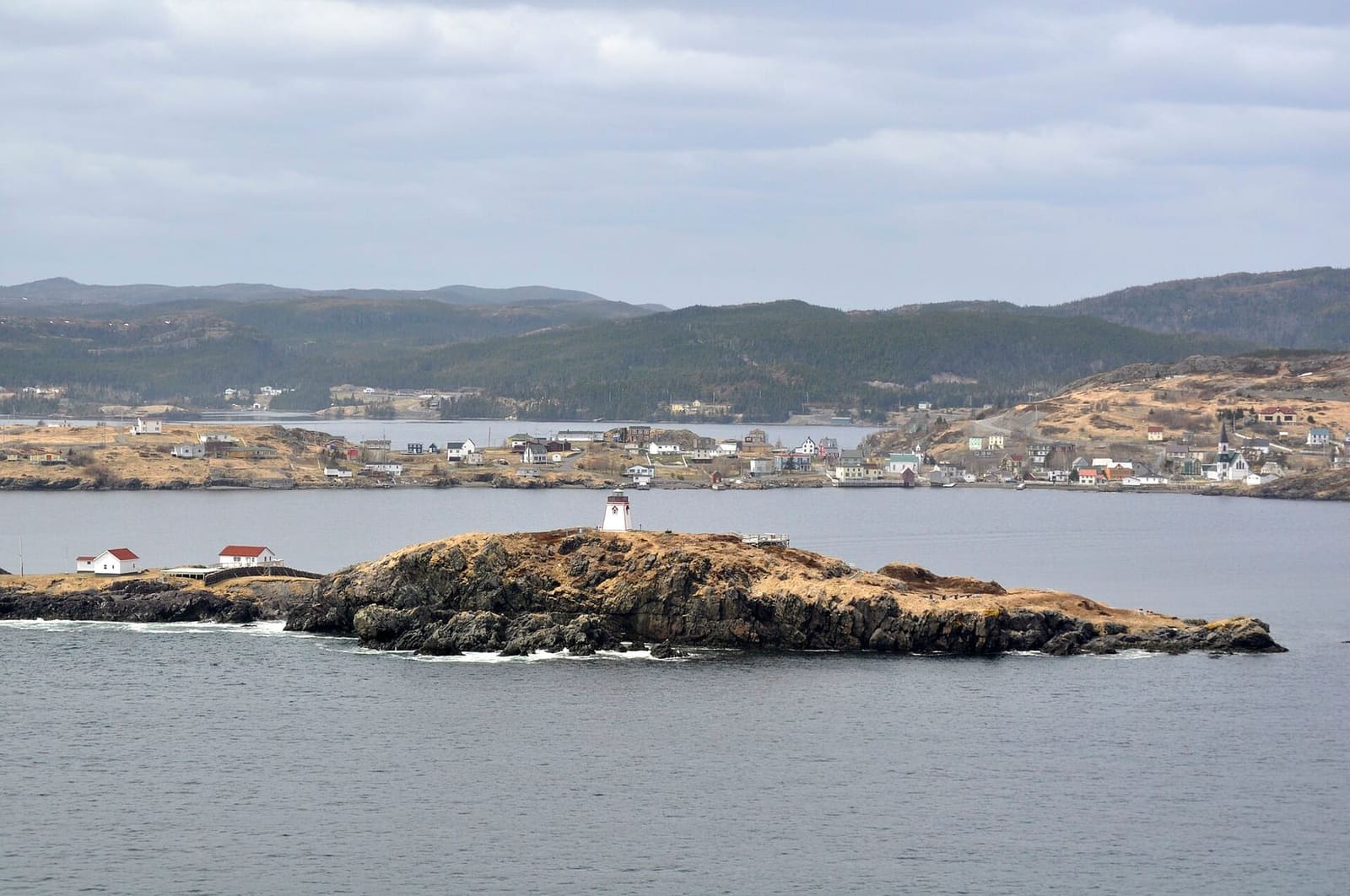 Trinity, on the Bonavista Peninsula — twelve-passenger inflatables and a two-and-a-half-hour drive from St. John's